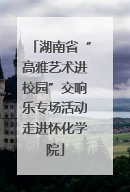 湖南省“高雅艺术进校园”交响乐专场活动走进怀化学院