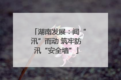 湖南发展：闻“汛”而动 筑牢防汛“安全墙”