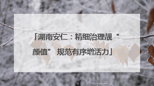 湖南安仁：精细治理靓“颜值” 规范有序增活力