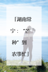 湖南常宁：“芒种”到 农事忙