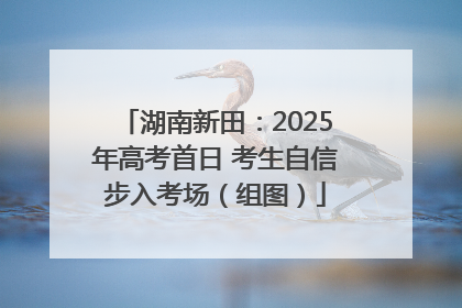 湖南新田：2025年高考首日 考生自信步入考场（组图）