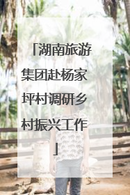 湖南旅游集团赴杨家坪村调研乡村振兴工作