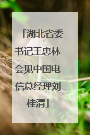 湖北省委书记王忠林会见中国电信总经理刘桂清