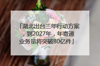湖北出台三年行动方案，到2027年，年寄递业务量将突破80亿件