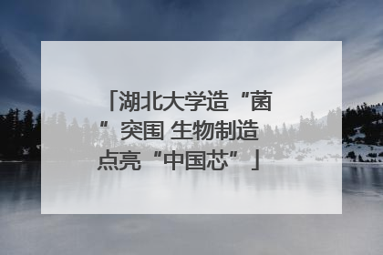 湖北大学造“菌”突围 生物制造点亮“中国芯”