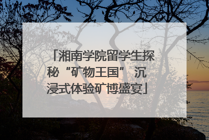 湘南学院留学生探秘“矿物王国” 沉浸式体验矿博盛宴