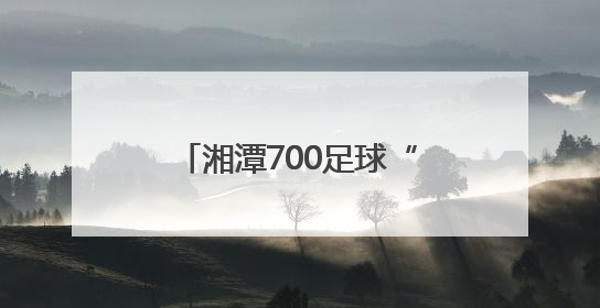 湘潭700足球“小将”逐梦绿茵场