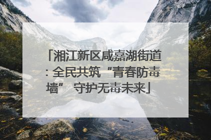 湘江新区咸嘉湖街道：全民共筑“青春防毒墙” 守护无毒未来