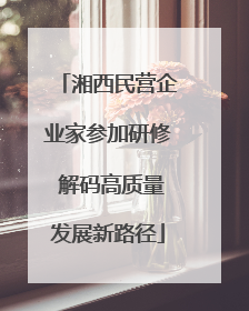 湘西民营企业家参加研修 解码高质量发展新路径