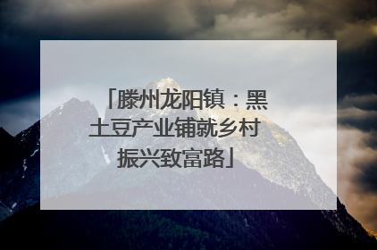 滕州龙阳镇：黑土豆产业铺就乡村振兴致富路