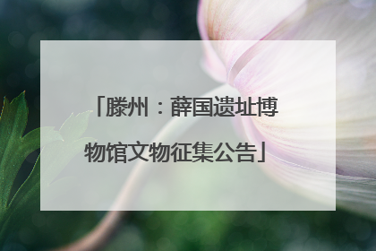 滕州：薛国遗址博物馆文物征集公告