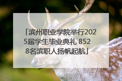 滨州职业学院举行2025届学生毕业典礼 8528名滨职人扬帆起航