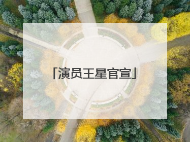 演员王星官宣