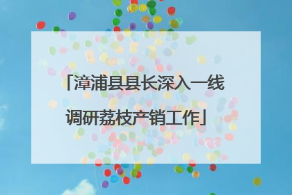 漳浦县县长深入一线调研荔枝产销工作