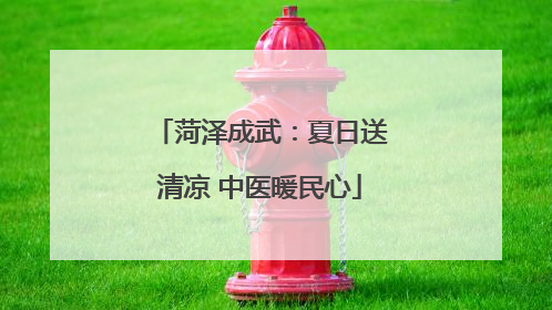 菏泽成武：夏日送清凉 中医暖民心