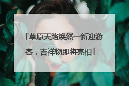 草原天路焕然一新迎游客，吉祥物即将亮相