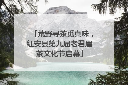 荒野寻茶觅真味，红安县第九届老君眉茶文化节启幕