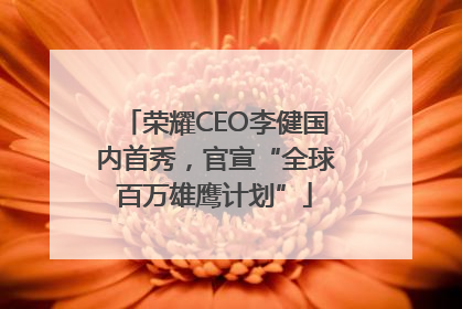 荣耀CEO李健国内首秀，官宣“全球百万雄鹰计划”