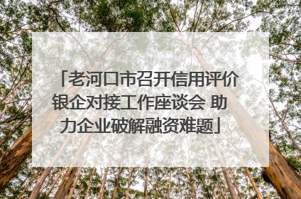 老河口市召开信用评价银企对接工作座谈会 助力企业破解融资难题