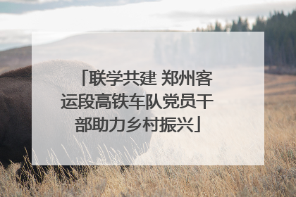 联学共建 郑州客运段高铁车队党员干部助力乡村振兴
