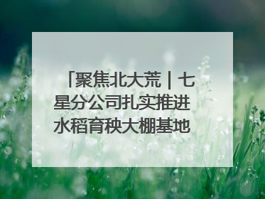聚焦北大荒｜七星分公司扎实推进水稻育秧大棚基地清理整治工作