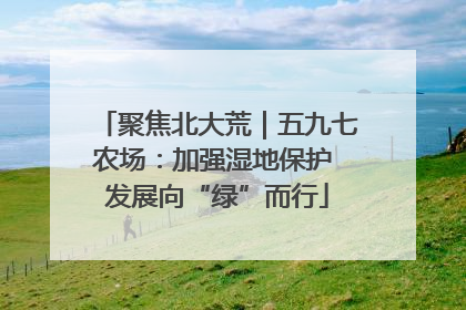 聚焦北大荒｜五九七农场：加强湿地保护 发展向“绿”而行