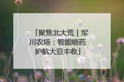 聚焦北大荒｜军川农场：智能喷药护航大豆丰收