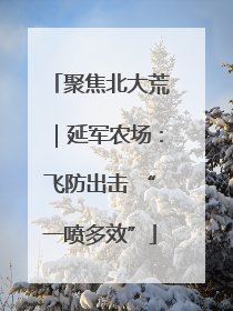 聚焦北大荒｜延军农场：飞防出击 “一喷多效”