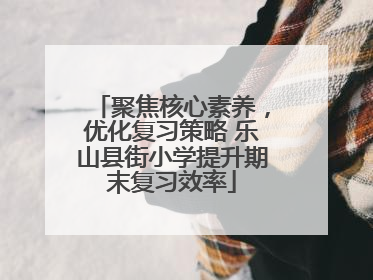 聚焦核心素养，优化复习策略 乐山县街小学提升期末复习效率