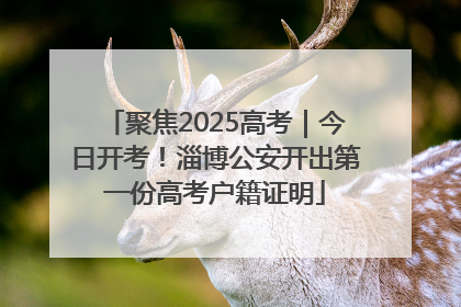 聚焦2025高考｜今日开考！淄博公安开出第一份高考户籍证明