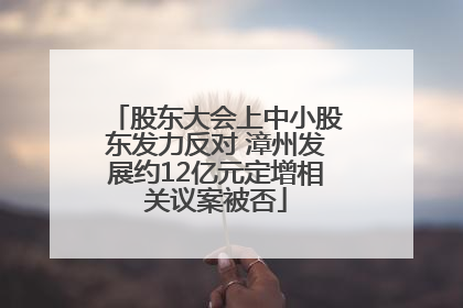 股东大会上中小股东发力反对 漳州发展约12亿元定增相关议案被否