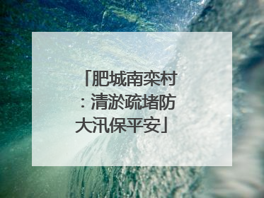 肥城南栾村：清淤疏堵防大汛保平安