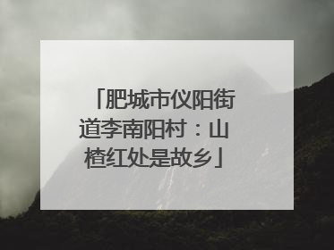 肥城市仪阳街道李南阳村：山楂红处是故乡