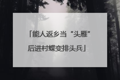 能人返乡当“头雁” 后进村蝶变排头兵
