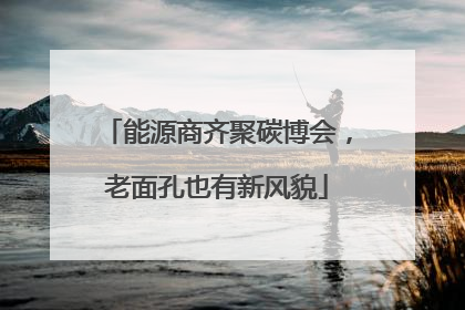 能源商齐聚碳博会，老面孔也有新风貌