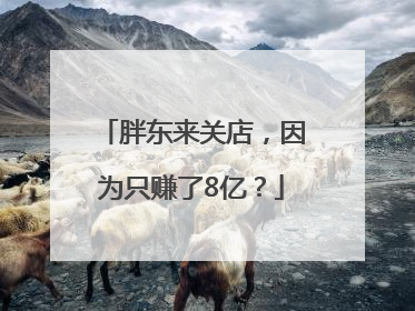 胖东来关店，因为只赚了8亿？