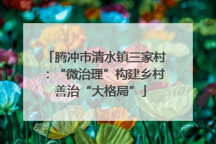 腾冲市清水镇三家村：“微治理”构建乡村善治“大格局”
