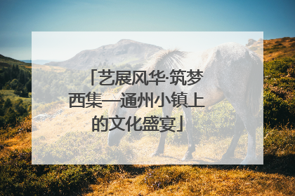 艺展风华·筑梦西集—通州小镇上的文化盛宴