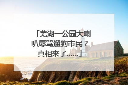 芜湖一公园大喇叭辱骂遛狗市民？真相来了……