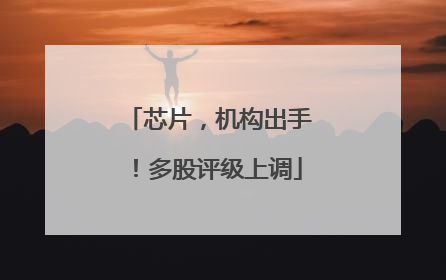 芯片，机构出手！多股评级上调