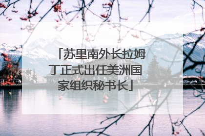 苏里南外长拉姆丁正式出任美洲国家组织秘书长