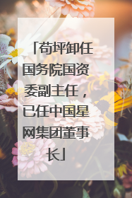 苟坪卸任国务院国资委副主任，已任中国星网集团董事长