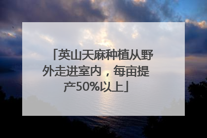 英山天麻种植从野外走进室内，每亩提产50%以上