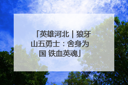 英雄河北｜狼牙山五勇士：舍身为国 铁血英魂