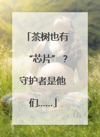 茶树也有“芯片”？守护者是他们……