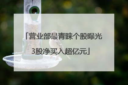 营业部最青睐个股曝光 3股净买入超亿元