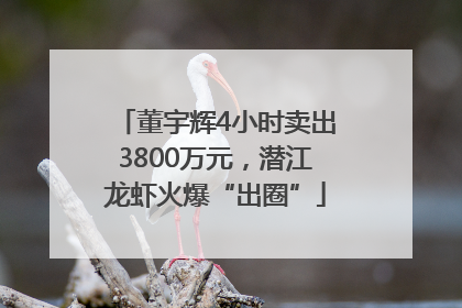 董宇辉4小时卖出3800万元，潜江龙虾火爆“出圈”