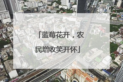 蓝莓花开，农民增收笑开怀