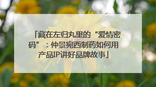 藏在左归丸里的“爱情密码”：仲景宛西制药如何用产品IP讲好品牌故事
