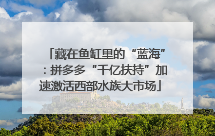 藏在鱼缸里的“蓝海”：拼多多“千亿扶持”加速激活西部水族大市场